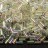 Бисер японский Miyuki Bugle стеклярус 3мм #2442 слоновая кость, радужный прозрачный, 10 грамм - Бисер японский Miyuki Bugle стеклярус 3мм #2442 слоновая кость, радужный прозрачный, 10 грамм