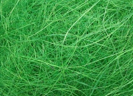 Сизалевое волокно, цвет зеленый, вес 10г, 1020-001, 1уп Сизалевое волокно, цвет зеленый, вес 10г, 1020-001, 1уп