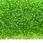 Бисер японский MIYUKI круглый 11/0 #0259 светло-зеленый, радужный прозрачный, 10 грамм - Бисер японский MIYUKI круглый 11/0 #0259 светло-зеленый, радужный прозрачный, 10 грамм