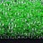 Бисер японский TOHO Demi Round 8/0 #0805 зеленый, окрашенный изнутри неон, светится в ультрафиолете, 5 грамм - Бисер японский TOHO Demi Round 8/0 #0805 зеленый, окрашенный изнутри неон, светится в ультрафиолете, 5 грамм