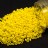Бисер японский MIYUKI круглый 11/0 #0404F желтый, матовый непрозрачный, 10 грамм - Бисер японский MIYUKI круглый 11/0 #0404F желтый, матовый непрозрачный, 10 грамм