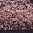 Бусины MiniDuo 2х4мм, отверстие 0,7мм, цвет 70120 розовый прозрачный, 707-058, 5г (около 115шт) - Бусины MiniDuo 2х4мм, отверстие 0,7мм, цвет 70120 розовый прозрачный, 707-058, 5г (около 115шт)