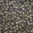 Бисер японский TOHO круглый 8/0 #0176BF серый матовый, радужный прозрачный, 10 грамм - Бисер японский TOHO круглый 8/0 #0176BF серый матовый, радужный прозрачный, 10 грамм