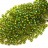 Бисер японский TOHO круглый 11/0 #0393 топаз/зеленый, окрашенный изнутри, 10 грамм - Бисер японский TOHO круглый 11/0 #0393 топаз/зеленый, окрашенный изнутри, 10 грамм