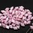 Бусины GemDuo 8х5мм, отверстие 0,8мм, цвет 02010/24603 белый/розовый кракле, 709-173, 10г (около 64шт) - Бусины GemDuo 8х5мм, отверстие 0,8мм, цвет 02010/24603 белый/розовый кракле, 709-173, 10г (около 64шт)