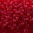 Бисер японский TOHO круглый 8/0 #0005CF рубин, матовый прозрачный, 10 грамм - Бисер японский TOHO круглый 8/0 #0005CF рубин, матовый прозрачный, 10 грамм