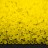 Бисер японский TOHO круглый 11/0 #0012F лимон, матовый прозрачный, 10 грамм - Бисер японский TOHO круглый 11/0 #0012F лимон, матовый прозрачный, 10 грамм