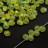 Бисер MIYUKI Drops 3,4мм #0143FR салатовый, матовый радужный прозрачный, 10 грамм - Бисер MIYUKI Drops 3,4мм #0143FR салатовый, матовый радужный прозрачный, 10 грамм