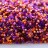 Бисер японский MIYUKI Delica цилиндр 11/0 DB-MIX10 ягоды, микс Melonberry, 5 грамм - Бисер японский MIYUKI Delica цилиндр 11/0 DB-MIX10 ягоды, микс Melonberry, 5 грамм