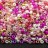Бисер чешский PRECIOSA Микс 10/0 #003, оттенок розовый, 50г - Бисер чешский PRECIOSA Микс 10/0 #003, оттенок розовый, 50г
