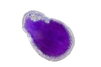 Срез Агата природного, оттенок фиолетовый, 65х44х5мм, отверстие 2мм, 37-207, 1шт