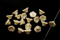 Бусина Flower 7х5мм, отверстие 0,8мм, цвет 02010/25110 кремовый, пастель, 733-062, 20шт