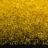 Бисер японский MIYUKI Delica цилиндр 11/0 DB-1301 желтый, прозрачный, 5 грамм - Бисер японский MIYUKI Delica цилиндр 11/0 DB-1301 желтый, прозрачный, 5 грамм