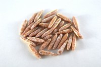 Бусины Thorn beads 5х16мм, цвет 03000/15495 белый мел/красный мрамор, 719-010, около 10г (около 32шт)