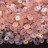 Бусины SuperDuo 2,5х5мм, отверстие 0,8мм, цвет 70120/28771 матовый розалин АВ, 706-183, 10г (около 120шт) - Бусины SuperDuo 2,5х5мм, отверстие 0,8мм, цвет 70120/28771 матовый розалин АВ, 706-183, 10г (около 120шт)