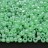 Бисер японский TOHO круглый 8/0 #0144 сельдерей, цейлон, 10 грамм - Бисер японский TOHO круглый 8/0 #0144 сельдерей, цейлон, 10 грамм