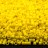Бисер японский MIYUKI Delica цилиндр 15/0 DBS-0721 желтый, непрозрачный, 5 грамм - Бисер японский MIYUKI Delica цилиндр 15/0 DBS-0721 желтый, непрозрачный, 5 грамм