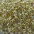 Бисер японский TOHO Magatama 3мм #0998 светлый нарцисс радужный, золотая линия внутри, 5 грамм - Бисер японский TOHO Magatama 3мм #0998 светлый нарцисс радужный, золотая линия внутри, 5 грамм