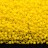 Бисер японский MIYUKI Delica цилиндр 11/0 DB-0721 желтый, непрозрачный, 5 грамм - Бисер японский MIYUKI Delica цилиндр 11/0 DB-0721 желтый, непрозрачный, 5 грамм