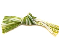 Лента шелковая Шибори, ширина 12см, цвет №098 салатовый/белый, 20см