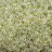 Бисер японский TOHO круглый 8/0 #0173 лимонный туман, радужный прозрачный, 10 грамм - Бисер японский TOHO круглый 8/0 #0173 лимонный туман, радужный прозрачный, 10 грамм