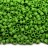 Бисер японский TOHO Treasure цилиндрический 11/0 #0047F зеленая мята, матовый непрозрачный, 5 грамм - Бисер японский TOHO Treasure цилиндрический 11/0 #0047F зеленая мята, матовый непрозрачный, 5 грамм