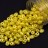 Бусины MiniDuo 2х4мм, отверстие 0,7мм, цвет 02010/24002 желтый непрозрачный жемчужный, 707-015, 5г (около 115шт) - Бусины MiniDuo 2х4мм, отверстие 0,7мм, цвет 02010/24002 желтый непрозрачный жемчужный, 707-015, 5г (около 115шт)