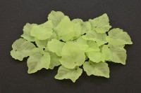 Бусины акриловые Лист 24х23х3мм, отверстие 1мм, цвет светло-зеленый матовый, 540-310, 10г (около 25шт)