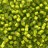 Бисер японский TOHO круглый 8/0 #0024F зеленый лайм матовый, серебряная линия внутри, 10 грамм - Бисер японский TOHO круглый 8/0 #0024F зеленый лайм матовый, серебряная линия внутри, 10 грамм