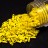 Бисер японский MIYUKI Quarter TILA #0404 желтый, непрозрачный, 5 грамм - Бисер японский MIYUKI Quarter TILA #0404 желтый, непрозрачный, 5 грамм