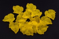 Бусины акриловые Лист 24х23х3мм, отверстие 1мм, цвет желтый матовый, 540-309, 10г (около 25шт)