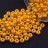Бисер чешский PRECIOSA круглый 6/0 22002 желтый подсолнух, PermaLux, 50г - Бисер чешский PRECIOSA круглый 6/0 22002 желтый подсолнух, PermaLux, 50г