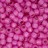 Бисер японский TOHO круглый 8/0 #PF2107 Permanent Finish молочный ярко-розовый, серебряная линия внутри, 10 грамм - Бисер японский TOHO круглый 8/0 #PF2107 Permanent Finish молочный ярко-розовый, серебряная линия внутри, 10 грамм