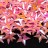 Пайетки фигурные Звезда, размер 10х10х0,8мм, отверстие 1мм, цвет розовый, 1022-052, 10 грамм - Пайетки фигурные Звезда, размер 10х10х0,8мм, отверстие 1мм, цвет розовый, 1022-052, 10 грамм