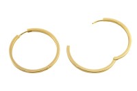 Серьги кольца Конго 40х40х2,5мм, латунь, позолота, 21-304, 1 пара