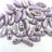 Бусины Chilli beads 4х11мм, два отверстия 0,9мм, цвет 02010/15435 белый/фиолетовый, 702-002, 10г (около 35шт) - Бусины Chilli beads 4х11мм, два отверстия 0,9мм, цвет 02010/15435 белый/фиолетовый, 702-002, 10г (около 35шт)
