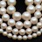 Жемчуг Swarovski 5810 #969 12мм Crystal Pearlescent White Pearl, 5810-12-969, 1шт - Жемчуг Swarovski 5810 #969 12мм Crystal Pearlescent White Pearl, 5810-12-969, 1шт