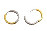 Серьги кольца Конго 19х20х3мм, латунь, родий/позолота, 21-377, 1 пара