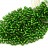 Бисер японский TOHO круглый 11/0 #0027BF зеленая трава матовый, серебряная линия внутри, 10 грамм - Бисер японский TOHO круглый 11/0 #0027BF зеленая трава матовый, серебряная линия внутри, 10 грамм