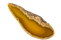 Срез Агата природного, оттенок желтый, 94х36х6мм, отверстие 2мм, 37-373, 1шт