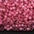 Бисер японский TOHO круглый 6/0 #PF2106 Permanent Finish молочный розово-лиловый, серебряная линия внутри, 10 грамм - Бисер японский TOHO круглый 6/0 #PF2106 Permanent Finish молочный розово-лиловый, серебряная линия внутри, 10 грамм