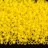Бисер японский MATSUNO круглый 11/0 35МА матовый желтый, внутреннее серебрение, 10г - Бисер японский MATSUNO круглый 11/0 35МА матовый желтый, внутреннее серебрение, 10г