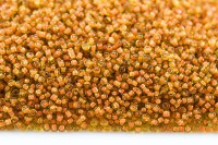 Бисер китайский круглый размер 12/0, цвет 0317 горчичный, цветная линия внутри, 450г