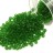 Бисер японский TOHO круглый 11/0 #0007BF зеленая трава, матовый прозрачный, 10грамм - Бисер японский TOHO круглый 11/0 #0007BF зеленая трава, матовый прозрачный, 10грамм