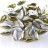 Бусины Chilli beads 4х11мм, два отверстия 0,9мм, цвет 02010/26441 белый/золотой, 702-005, 10г (около 35шт) - Бусины Chilli beads 4х11мм, два отверстия 0,9мм, цвет 02010/26441 белый/золотой, 702-005, 10г (около 35шт)