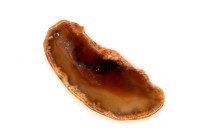 Срез Агата природного, оттенок коричневый, 72х32х6мм, отверстие 2мм, 37-335, 1шт