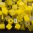 Бисер японский Miyuki Cube кубический 4мм #MIX26 оттенки желтого, микс Yellow Medley, 10 грамм - Бисер японский Miyuki Cube кубический 4мм #MIX26 оттенки желтого, микс Yellow Medley, 10 грамм