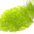 Бисер японский TOHO Treasure цилиндрический 11/0 #0004 зеленый лайм, прозрачный, 5 грамм - Бисер японский TOHO Treasure цилиндрический 11/0 #0004 зеленый лайм, прозрачный, 5 грамм