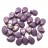 Бусины Pip beads 5х7мм, цвет 02010/15726 белый/лиловый, 701-046, 20шт - Бусины Pip beads 5х7мм, цвет 02010/15726 белый/лиловый, 701-046, 20шт