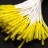 Тычинки Fiorico TIC/B-1,5 для искусственных цветов, цвет желтый, 1001-006, 1уп (85шт) - Тычинки Fiorico TIC/B-1,5 для искусственных цветов, цвет желтый, 1001-006, 1уп (85шт)